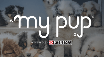 My Pup Logo